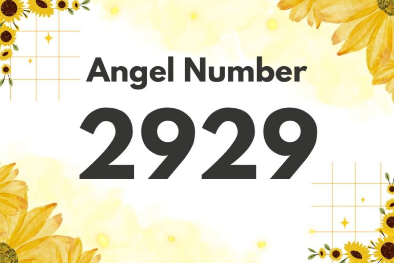 Meaning of Angel Number 2929 Explained by Joanne