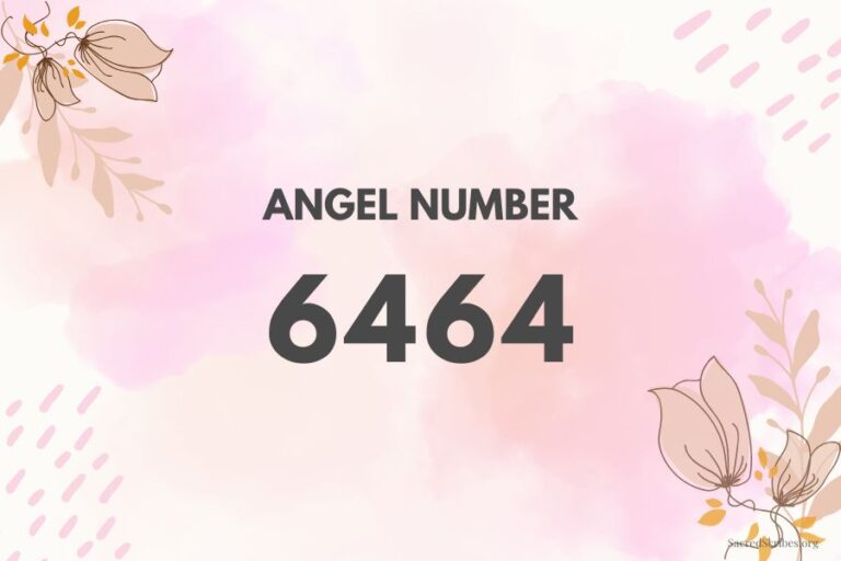 Meaning of Angel Number 6464 Explained by Joanne